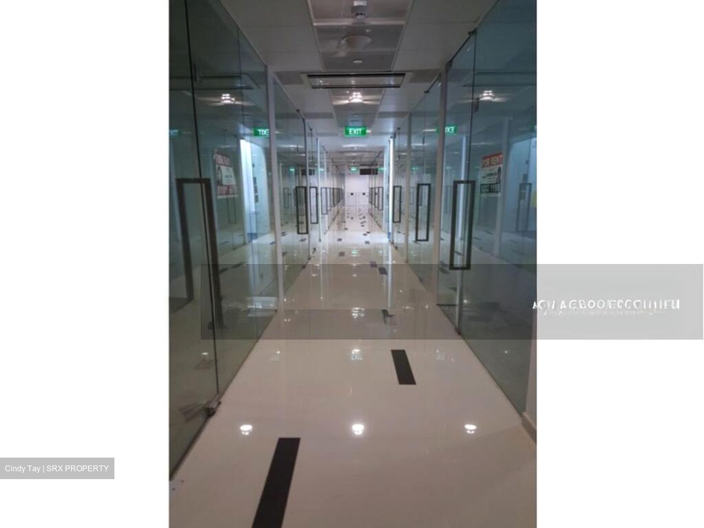 The Promenade@Pelikat (D19), Shop House #566868961